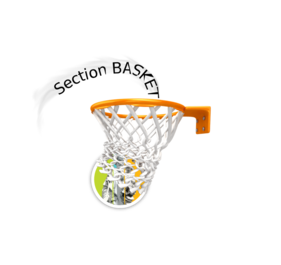 Section BASKET