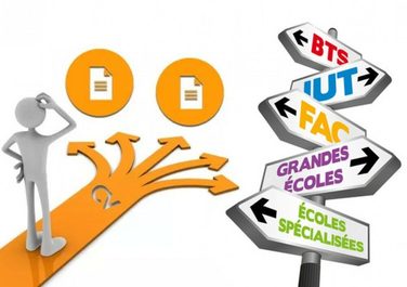 L’ORIENTATION - CARRIÈRE PROFESSIONNELLE 